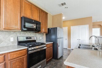 1029 Brighton Pl in Round Rock, TX - Building Photo - Building Photo