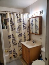 17828 Park Ave, Unit 2 in Homewood, IL - Building Photo - Building Photo