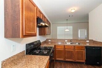 14410 Acuna Ln in Houston, TX - Building Photo - Building Photo