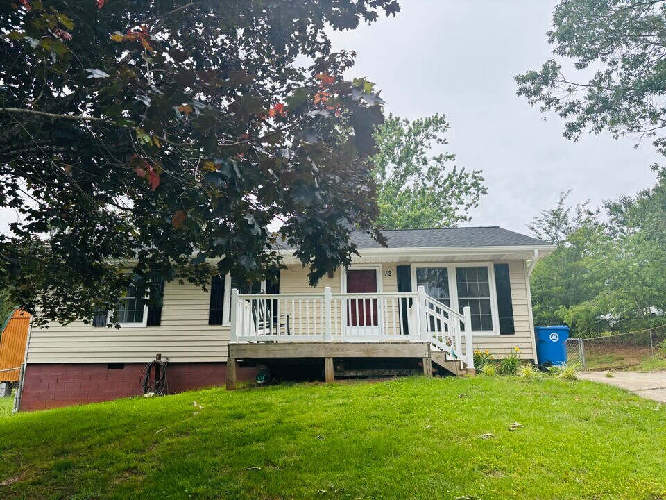 12 King Arthur Pl in Asheville, NC - Building Photo