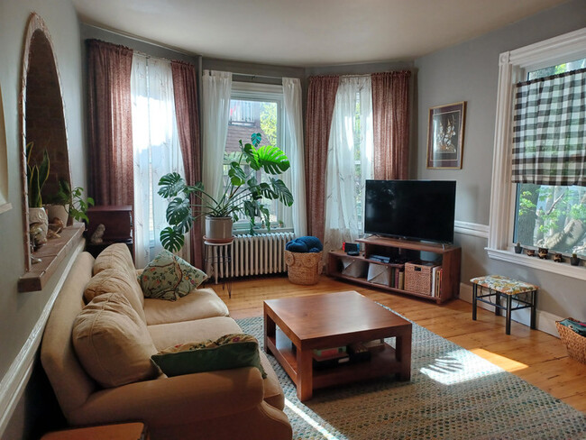 property at 15 Paul Gore St