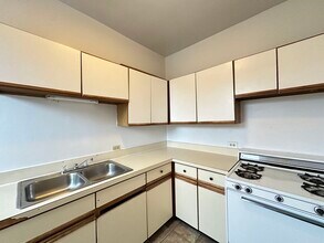 1542 N Kedzie Ave in Chicago, IL - Building Photo - Building Photo