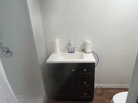 203 Shoshone Ln in Henderson, NV - Building Photo