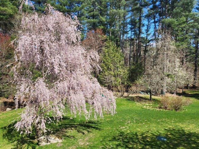 423 Concord Rd in Weston, MA - Foto de edificio - Building Photo
