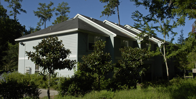 616 SW 11th Ln in Gainesville, FL - Building Photo - Building Photo