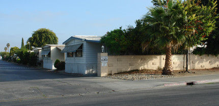 411 Lewis Rd in San Jose, CA - Building Photo - Building Photo