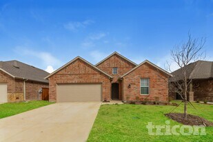 2520 Perkinsview Pl in McKinney, TX - Building Photo