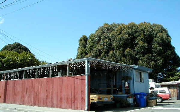 1411 Rumrill Blvd in San Pablo, CA - Building Photo
