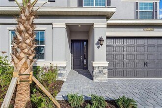 3442 Great Banyan Way in Wesley Chapel, FL - Building Photo - Building Photo