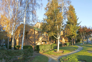 Sierra Crest Apartamentos