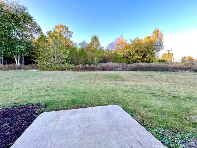 1220 Timber Pointe Cir in Pocahontas, AR - Building Photo - Building Photo