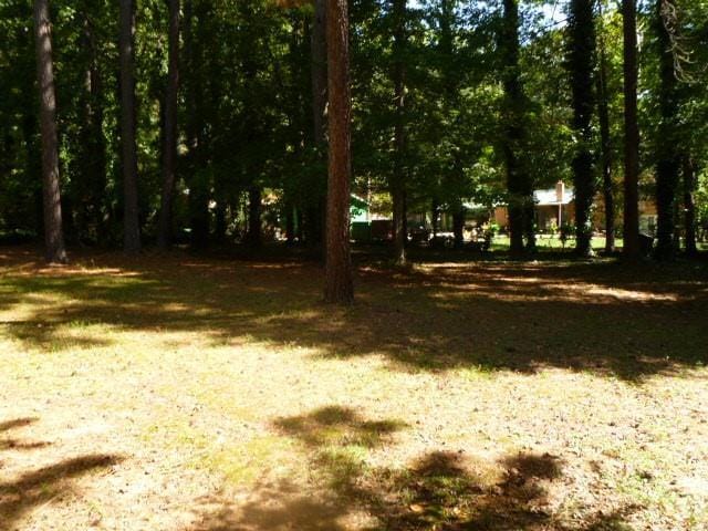 4268 Cedar Valley Ct in Conley, GA - Building Photo - Building Photo