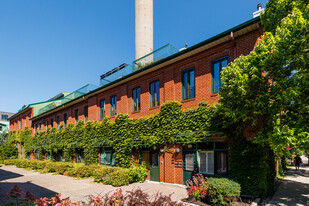 210 Dominion Rue in Montréal, QC - Building Photo