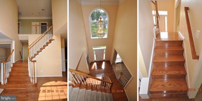 9308 Rustic Breeze Ct in Bristow, VA - Building Photo - Building Photo