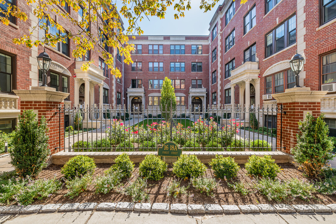 17 Forest St, Unit 3 in Cambridge, MA - Foto de edificio