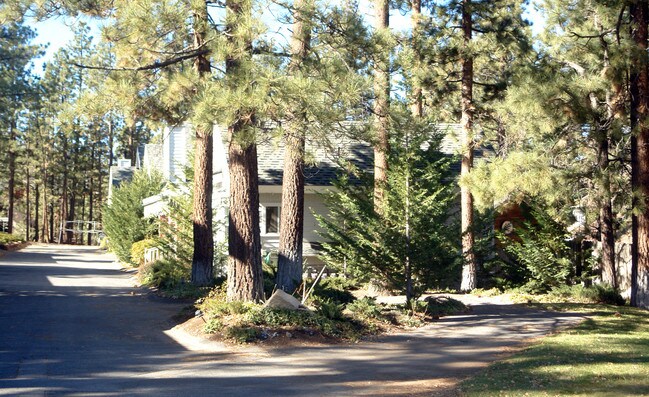 696 Jeffries Rd in Big Bear Lake, CA - Building Photo - Building Photo