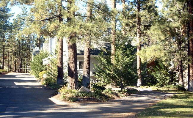 696 Jeffries Rd in Big Bear Lake, CA - Foto de edificio - Building Photo