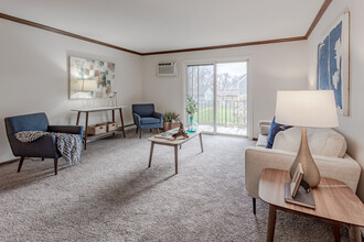 Wayzata Lake Apartments in Wayzata, MN - Foto de edificio - Interior Photo