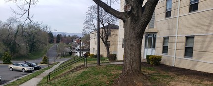 Terrace North and Terrace South Apartments in Roanoke, VA - Building Photo - Building Photo