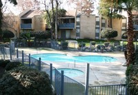 Pine Brook Apartments in Bakersfield, CA - Building Photo - Building Photo