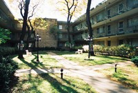 Clinton Court in Oak Park, IL - Foto de edificio - Building Photo