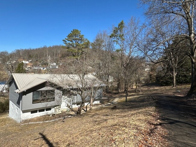 309 Akers Ave in Kingsport, TN - Building Photo - Building Photo