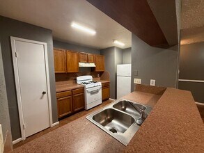 2435 Spring Dusk Ln in Spring, TX - Building Photo - Building Photo