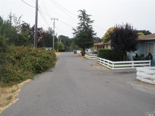 611 Snow Rd in Sebastopol, CA - Building Photo - Other