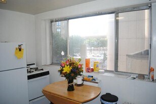 248 W Newton St, Unit 12 in Boston, MA - Building Photo