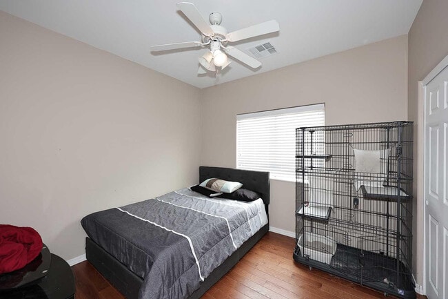 36950 W Mondragone Ln in Maricopa, AZ - Building Photo - Building Photo