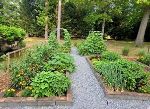 3060 Glen Wallace Dr in Cumming, GA - Building Photo - Building Photo