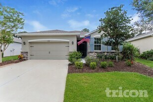 17719 Garsalaso Cir in Brooksville, FL - Building Photo