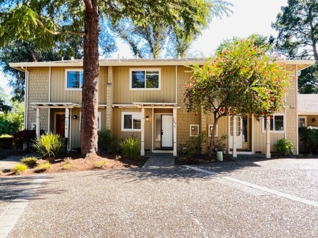 property at 267 W El Pintado
