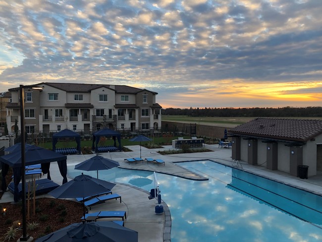 Campus Oaks Apartments in Roseville, CA - Building Photo - Building Photo