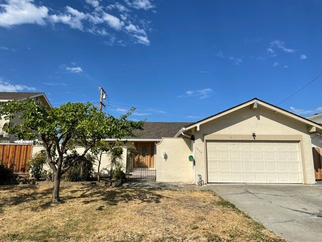 property at 1445 Shaffer Dr
