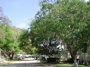 Lakeshore Villas in Tampa, FL - Foto de edificio - Building Photo