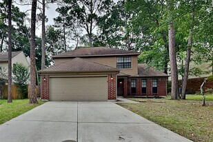 15 Kearny Brook Pl in Spring, TX - Building Photo