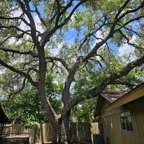 6808 Glen Ridge Dr in Austin, TX - Building Photo - Building Photo