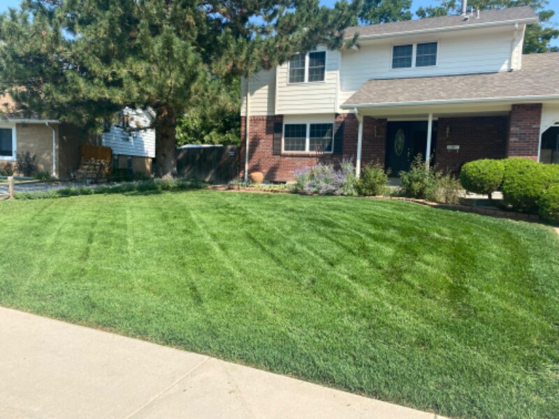 1000 Flint Way in Broomfield, CO - Building Photo