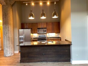 1735 N Paulina St, Unit 406 in Chicago, IL - Building Photo - Building Photo