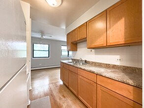 515 W Briar Pl in Chicago, IL - Building Photo - Building Photo