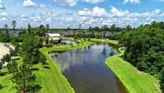 9537 Sugar Berry Dr in The Woodlands, TX - Building Photo