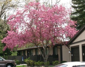 Montrose Square in Fort Wayne, IN - Foto de edificio - Building Photo