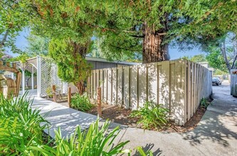 505 Pineo Ave in Mill Valley, CA - Building Photo - Building Photo