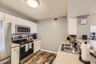 12912 Ironstone Way in Parker, CO - Building Photo - Building Photo