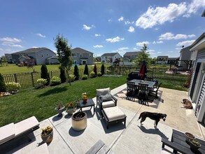 875 Ventura Dr in Westfield, IN - Building Photo - Building Photo