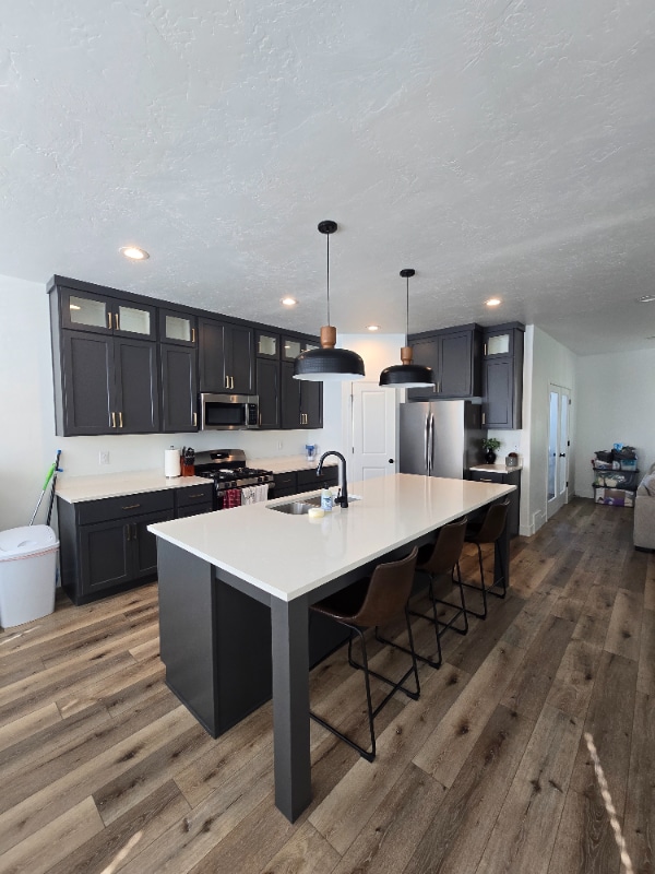 896 N 560 W St in American Fork, UT - Building Photo - Building Photo