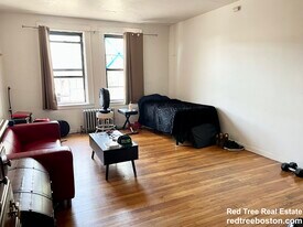 153 Brighton Ave, Unit 14 in Boston, MA - Building Photo