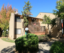 Cambridge Gardens in Cameron Park, CA - Foto de edificio - Building Photo