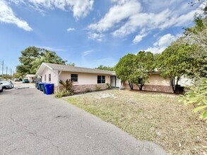 972 San Christopher Dr in Dunedin, FL - Building Photo - Building Photo